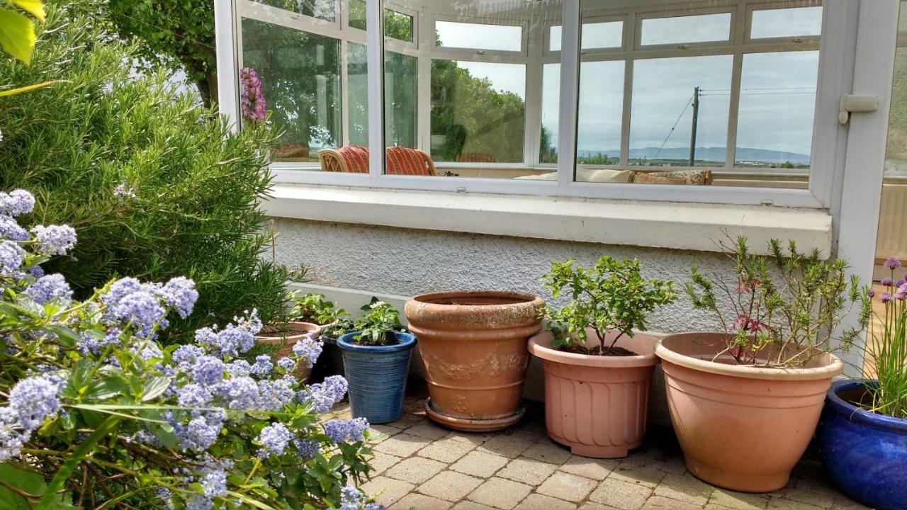 Rush View Bed and Breakfast Portrush Eksteriør billede